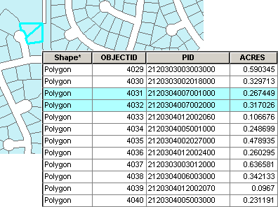 Selected records in a parcel layer attribute table