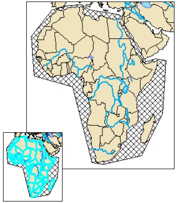 A map of Africa with approximate extent